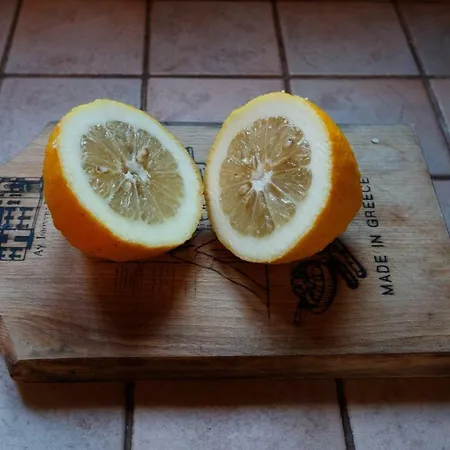 Villa Kouvelia Country Luxury Nerotrivia