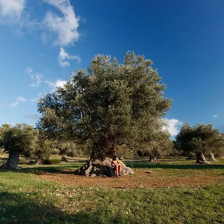 Kouvelia Country Luxury