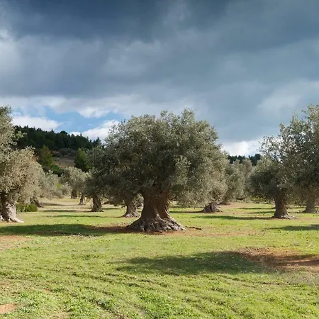 Kouvelia Country Luxury Villa Nerotrivia