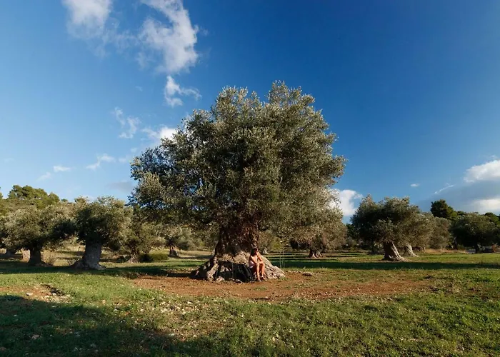 Kouvelia Country Luxury